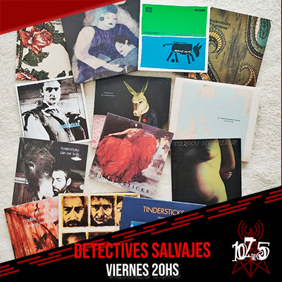 DETECTIVES SALVAJES